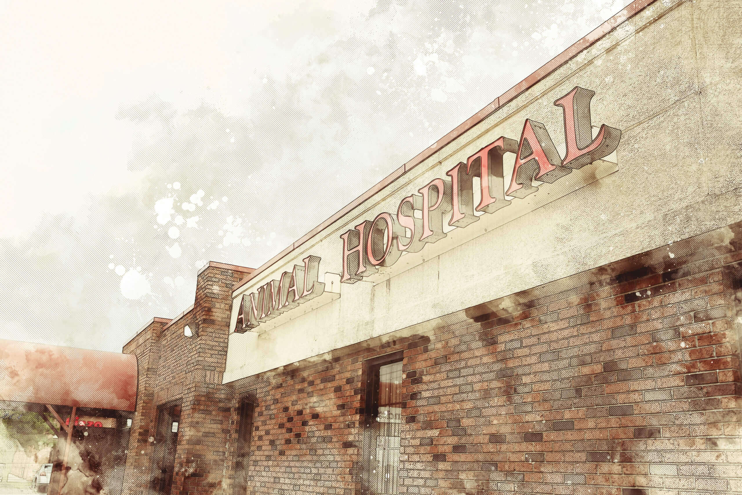 Veterinary Resources Freeland Animal Hospital